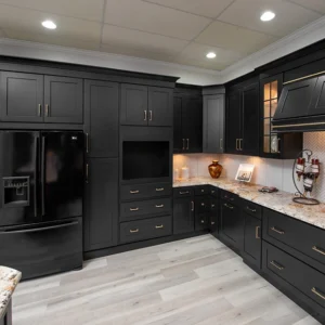 Midnight Black Shaker RTA Cabinets